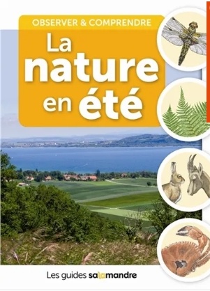 La nature en été