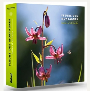 Fleurs des montagnes