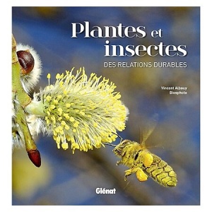 Plantes et insectes - Des relations durables