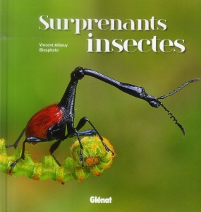 Surprenants insectes  - Vincent Albouy